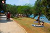 Rovinj Lone Beach rocky beach