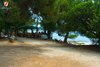 Bar vicino al mare all'ombra della foresta di pini a Lesso Rovigno