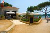 Rovinj Golden bay restaurant nearby