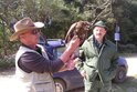 Palud Ornithological Reserve Rovinj Eagle