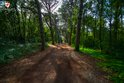 Rovinj - Zlatni rt and Škaraba Park Forest